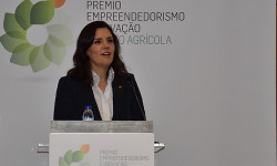 Entrepreneurship and Innovation Award