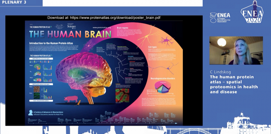 ENEA2020 – Virtual Event